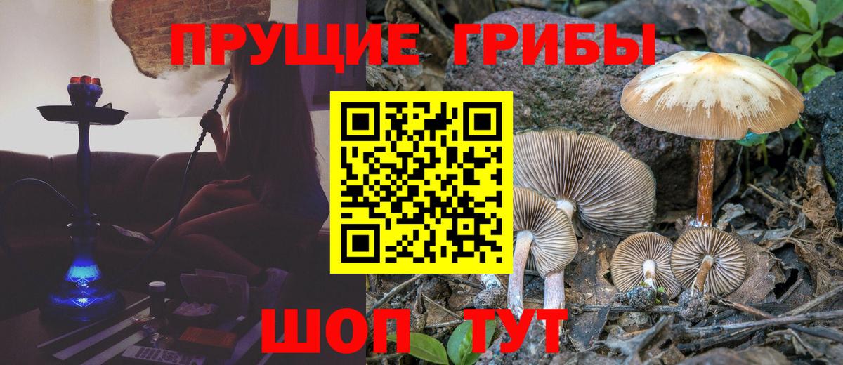 Галлюциногенные грибы мицелий Альметьевск